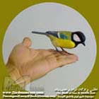 چرخ ریسک بزرگ